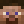 About Skins