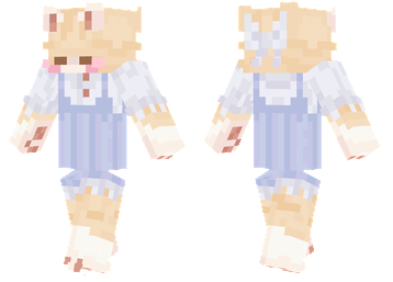 Cat In A Dress