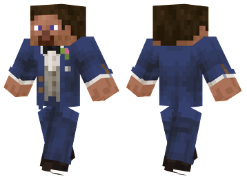 Fancy Steve