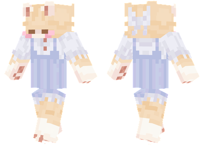Cat In A Dress