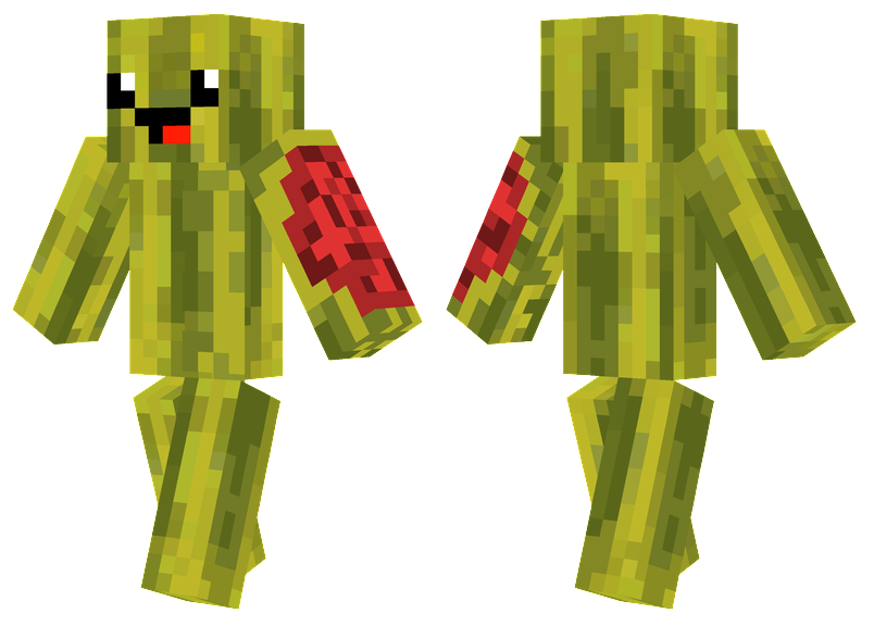 Happy Watermelon Minecraft Skins