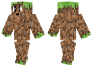 Dirt